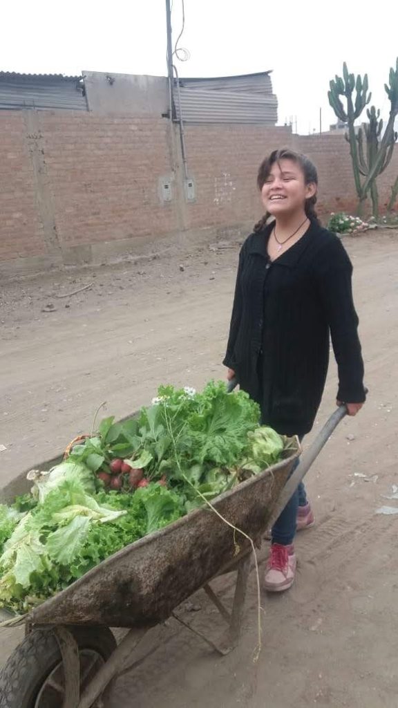 Spring comes to the refuge